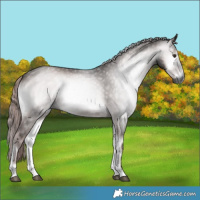 Horse Color:Gray Platinum Red Onyx Rabicano