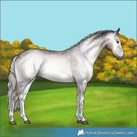 Horse Color:Gray Platinum Chocolate Palomino Onyx Rabicano