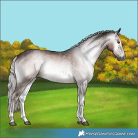 Horse Color:Gray Platinum Chocolate Palomino Onyx Rabicano 