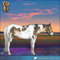 Horse Color:White Spotted Silver Buckskin Tobiano 