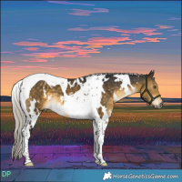Horse Color:White Spotted Silver Buckskin Tobiano 