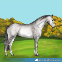 Horse Color:Gray Platinum Liver Red Onyx Rabicano