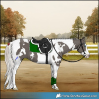 Horse Color:White Spotted Silver Black Splash Tobiano