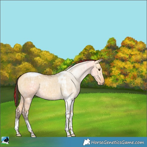 Horse Color:Painted Buckskin Ice Dun Tobiano Rabicano 
