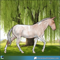 Horse Color:Silver Bay Roan Tobiano 