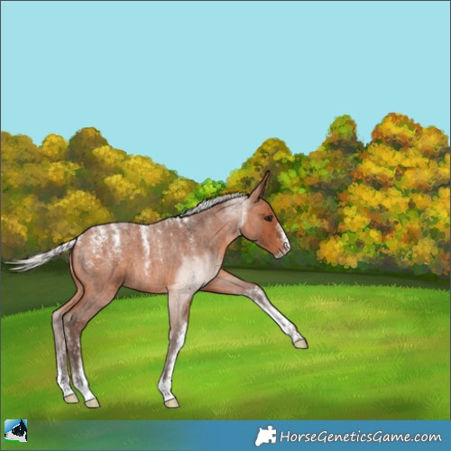 Horse Color:Powder White Silver Brown Roan 