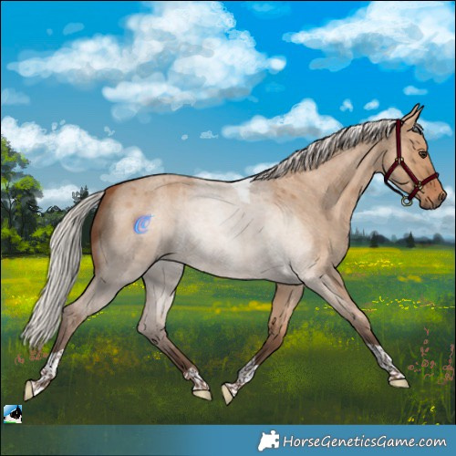Horse Color:Silver Bay Roan Dun Tobiano 
