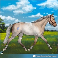 Horse Color:Silver Bay Roan Dun Tobiano 