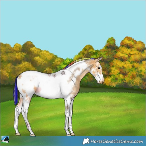 Horse Color:Painted Buckskin Tobiano Frame Varnish 
