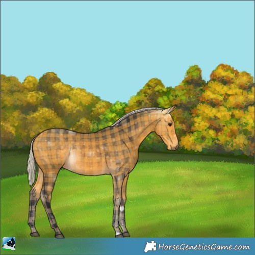 Horse Color:Plaid  Silver Buckskin 