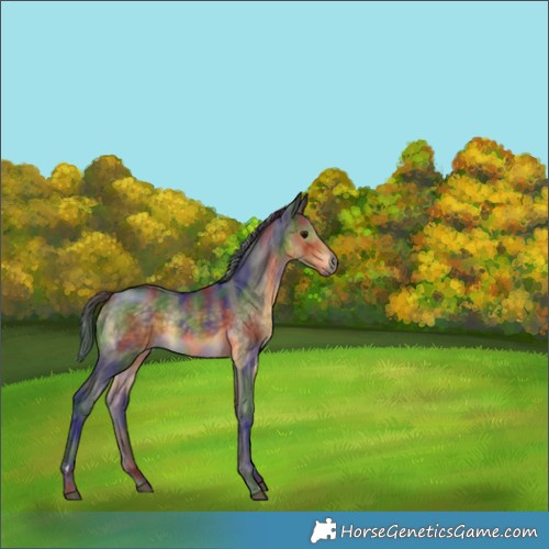 Horse Color:Nacre Buckskin Rabicano 