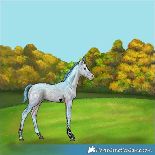 Horse Color:Watercolor Bay Ice Splash Tobiano Rabicano 