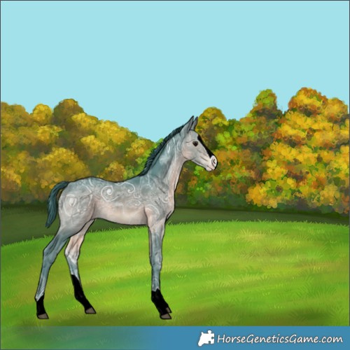 Horse Color:Platinum Watercolor Brown Ice Splash Rabicano 