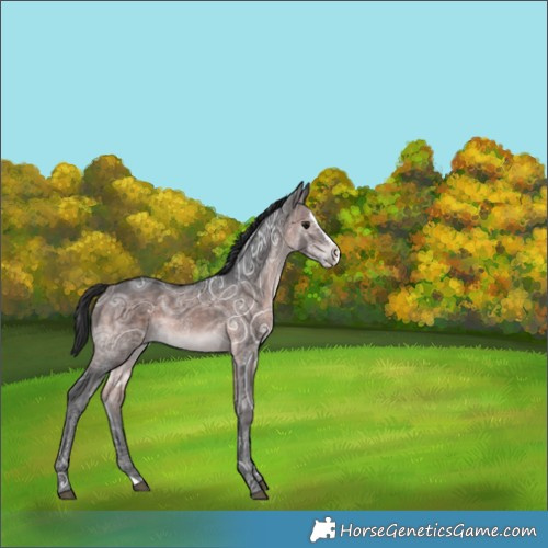 Horse Color:Platinum Brown Ice Splash Rabicano 