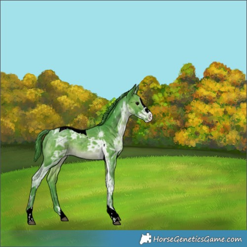 Horse Color:Watercolor Brown Ice Splash Tobiano Rabicano 