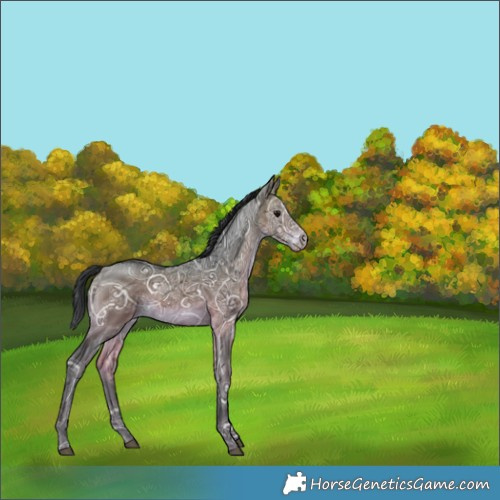 Horse Color:Bay Ice Rabicano 