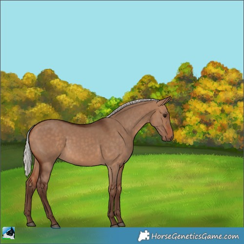 Horse Color:Silver Bay Dun 