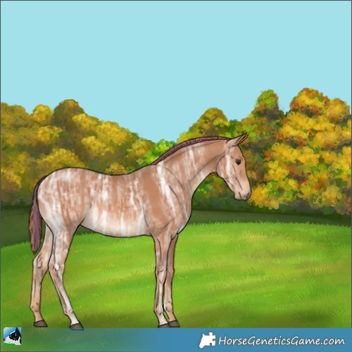 Horse Color:Painted Chestnut Ice 