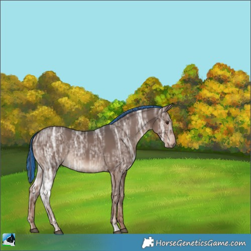 Horse Color:Painted Liver Chestnut Ice 