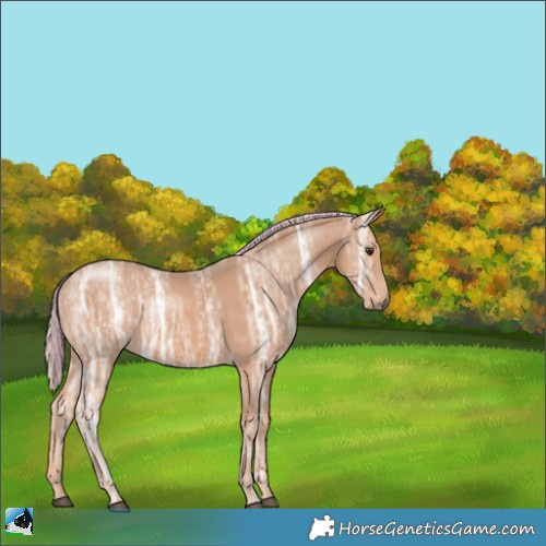 Horse Color:Painted Chestnut Ice Mushroom 