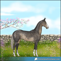 Horse Color:Silver Smoky Black Rabicano 
