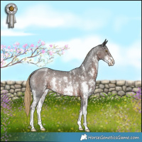 Horse Color:Liver Chestnut Sabino Rabicano 