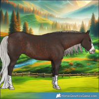 Horse Color:Silver Brown Splash Frame Rabicano