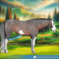 Horse Color:Brown Roan Splash Frame