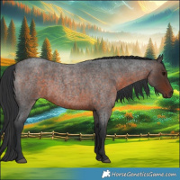 Horse Color:Brown Roan