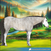 Horse Color:Buckskin Roan Splash