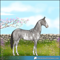 Horse Color:Smoky Grullo Sabino Rabicano