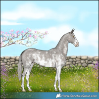 Horse Color:Silver Black Sabino 
