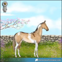 Horse Color:Chocolate Palomino Dun Tobiano 