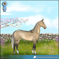 Horse Color:Silver Buckskin Dun Rabicano 