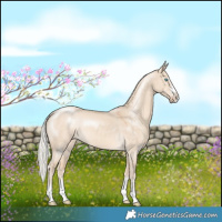 Horse Color:Silver Smoky Creme Dun 