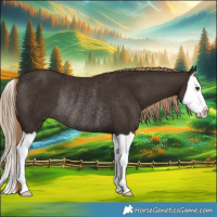 Horse Color:Liver Chestnut Splash Rabicano