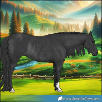 Horse Color:Black Rabicano 
