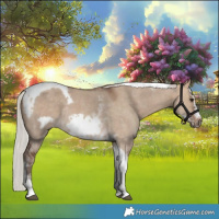 Horse Color:Silver Bay Dun Sabino Tobiano Frame Rabicano 