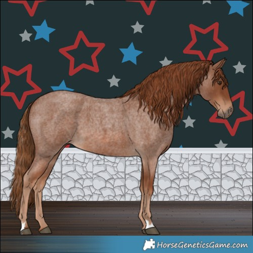 Horse Color:Red Roan 
