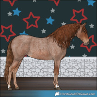 Horse Color:Red Roan