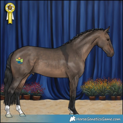 Horse Color:Brown Dun 