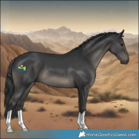 Horse Color:Black 