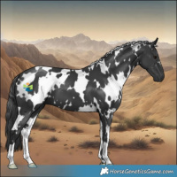 Horse Color:White Spotted Black 
