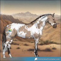 Horse Color:White Spotted Liver Red Dun Appaloosa