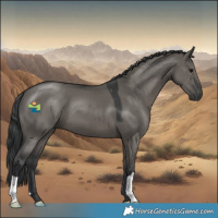 Horse Color:Grullo 