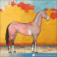 Horse Color:Liver Red Dun Sabino Rabicano 