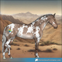 Horse Color:White Spotted Liver Red Dun Mushroom Rabicano