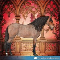 Horse Color:Bay Roan 