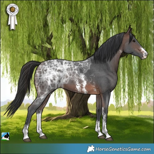 Horse Color:Brown Ice Sabino 