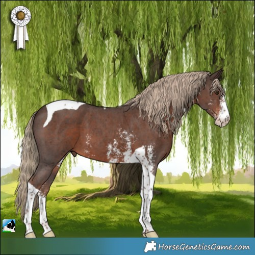 Horse Color:Liver Chestnut Sabino Tobiano 